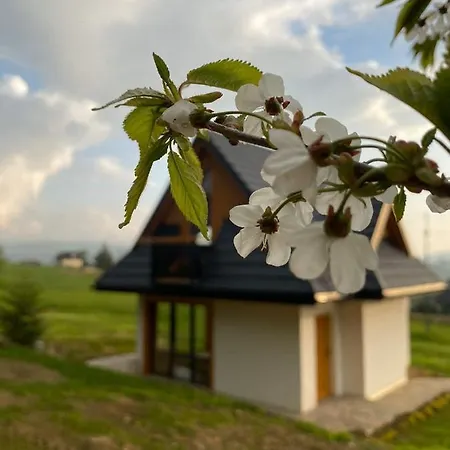 Lejlighed Pod Laskiem *