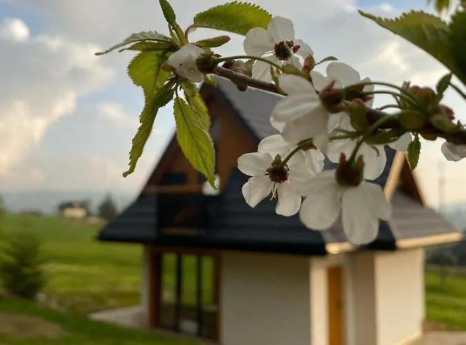 Appartamento Pod Laskiem *